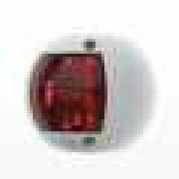 LUCE DI VIA A LED SL 20 ROSSA